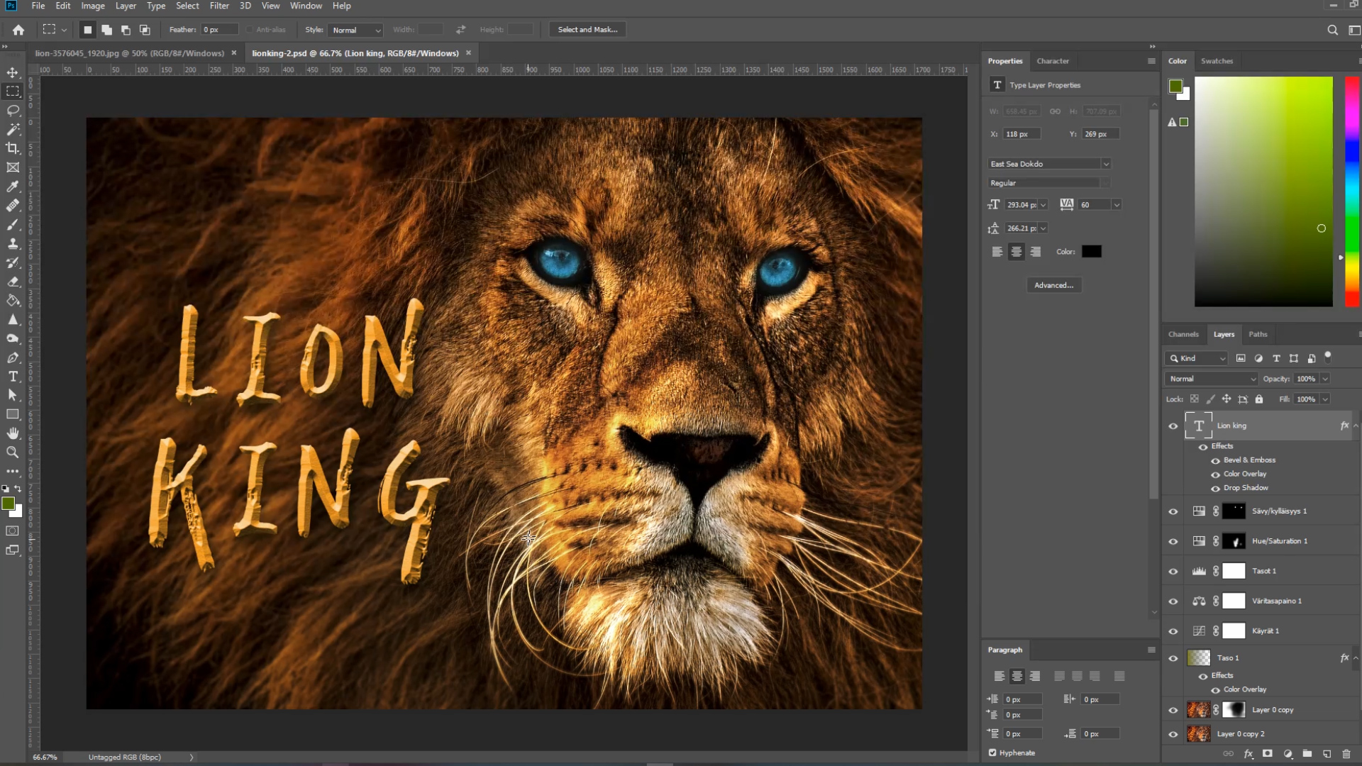 Kuvankäsittely perusteet Adobe Photoshop leijonakuva